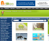web portal development